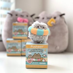 PUSHEEN BLIND BOX SERIES 10: Stormy in tube